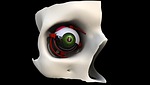 eye, eyesight, eyes