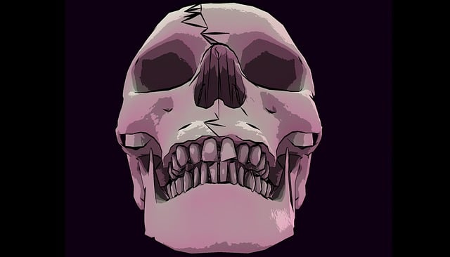 Free skull skeleton bone illustration