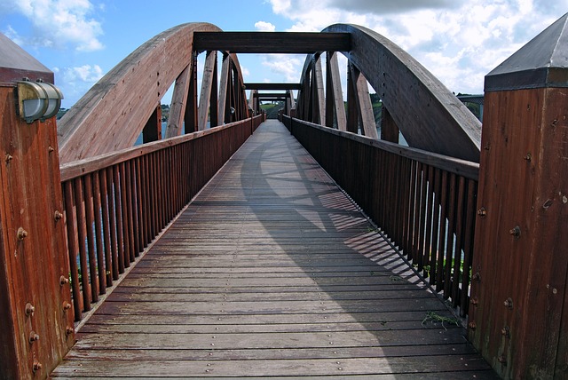 Free Bridge Wood photo and picture