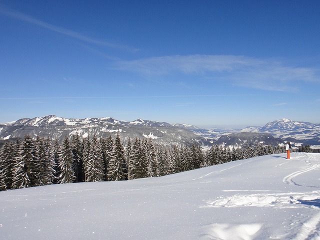Free Winter Winter Landscape photo and picture