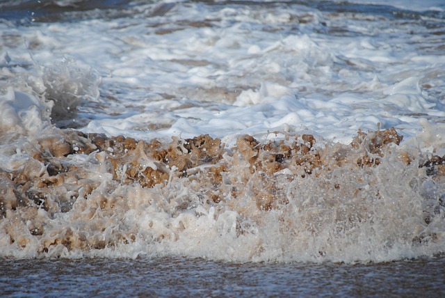 Free Waves Sea photo and picture