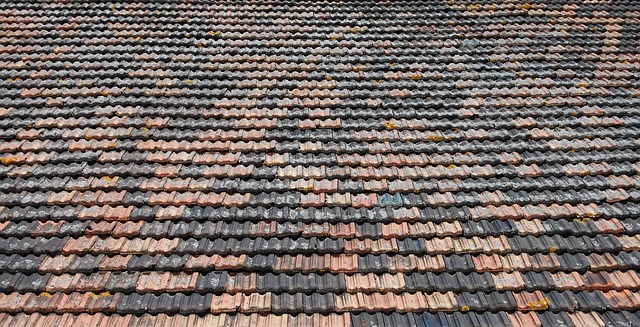 Free Bricks Roof photo and picture