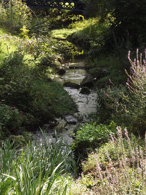 Bach, Wasser, Fließen, Fluss, Frühling