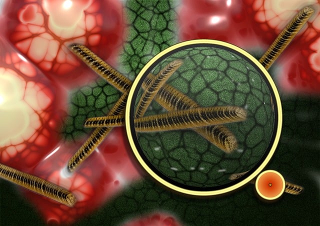 Free bacteria bacterial species imitation illustration