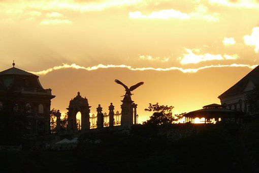 Sonnenuntergang, Gegenlicht, Natur