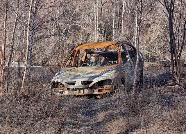 Free Finland Abandoned Car photo and picture