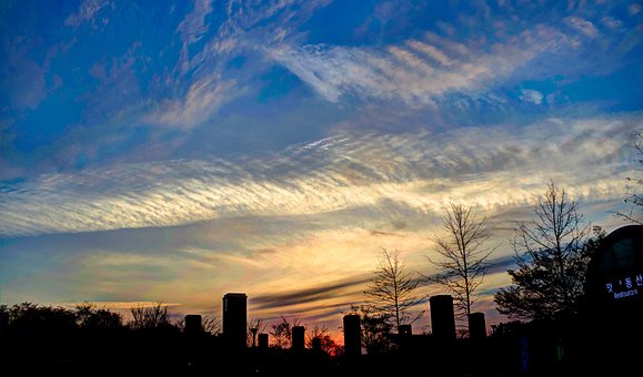 Free Sunset Horizon photo and picture