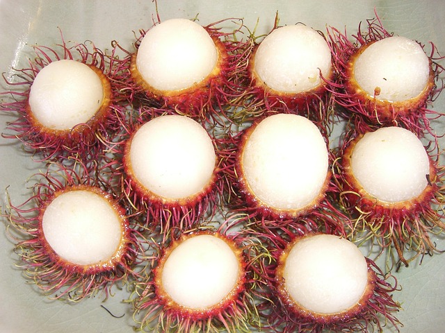 Free Lychee Fruit photo and picture