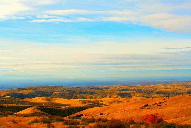Free Boise Desert photo and picture