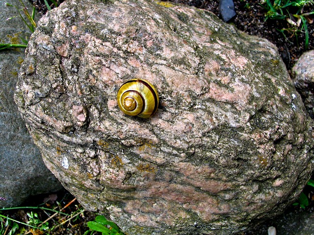 Free Stone Nature photo and picture