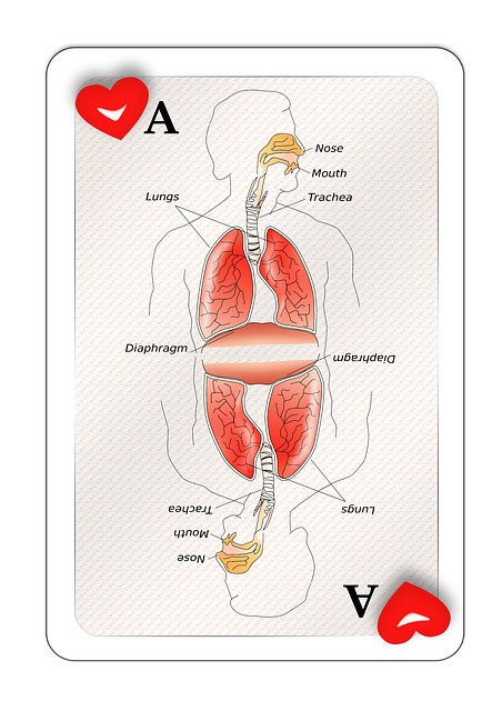 Free playing card map ace illustration