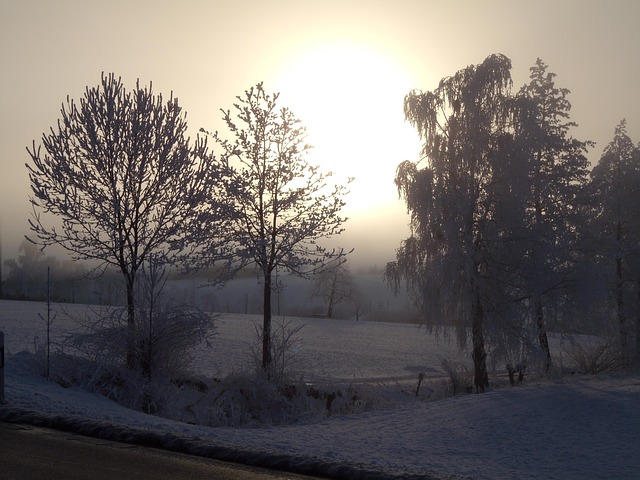 Free Winter Winter Landscape photo and picture