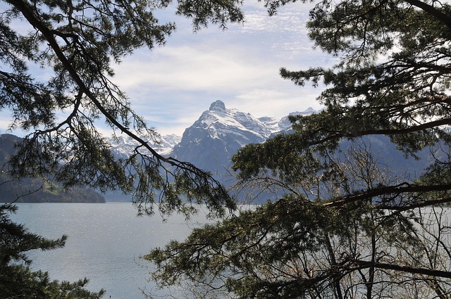 Free Landscape Nature photo and picture