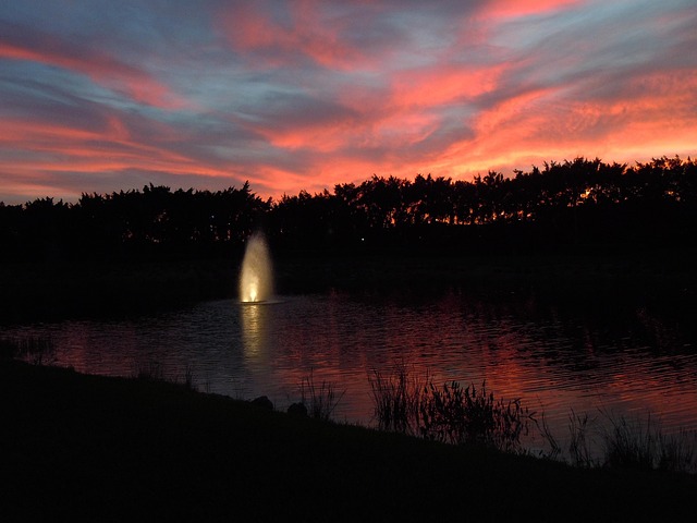 Free Sunset Nature photo and picture