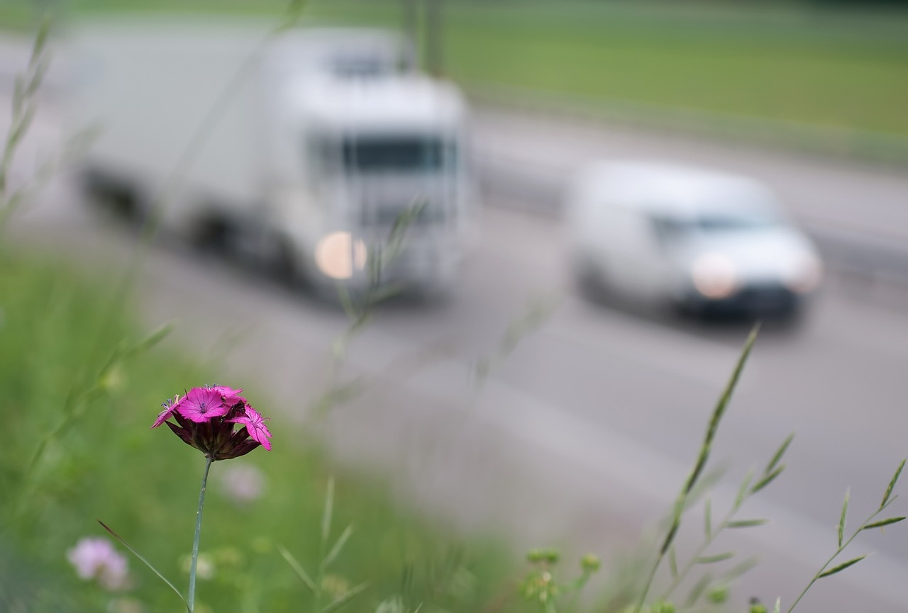 Tipps für nachhaltiges Reisen
