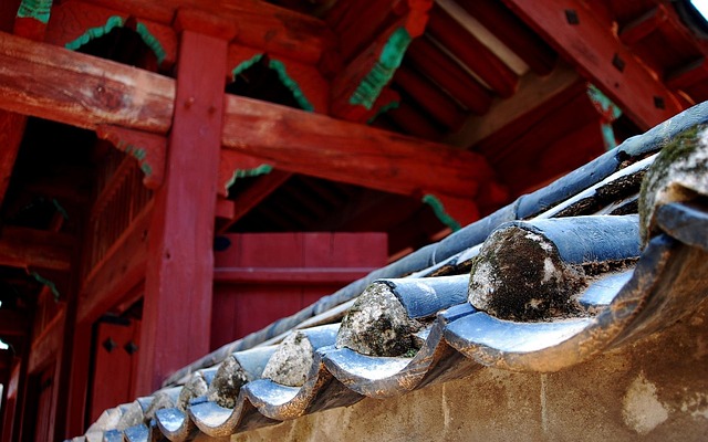 Free Palace Roof photo and picture