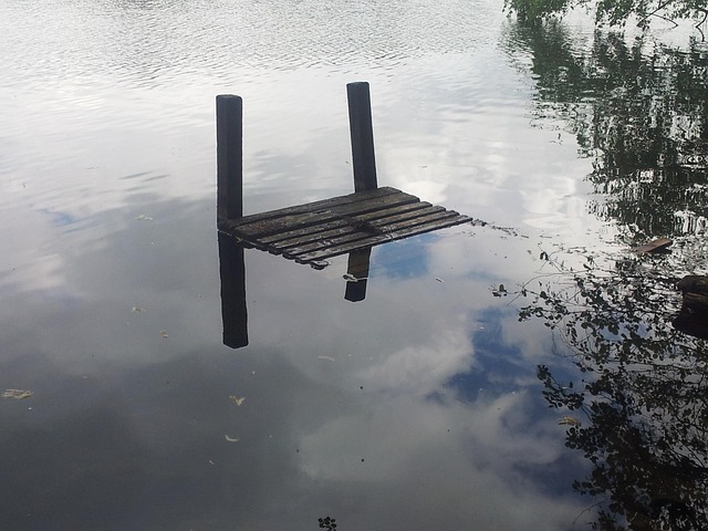 Free Web Lake photo and picture