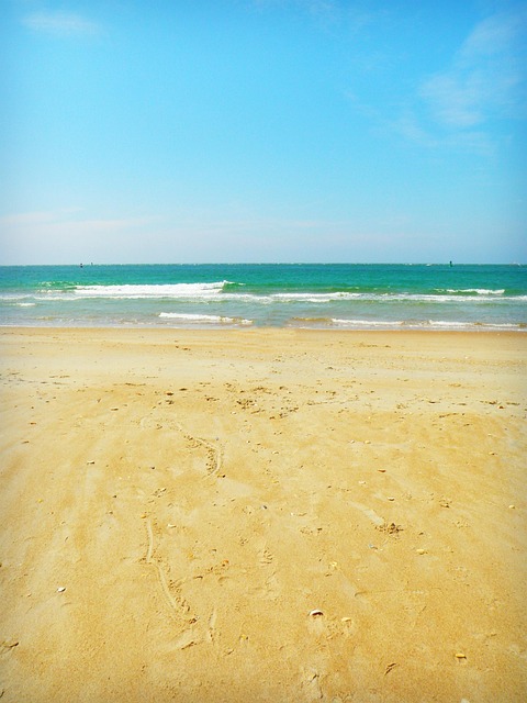 Free Beach Nature photo and picture