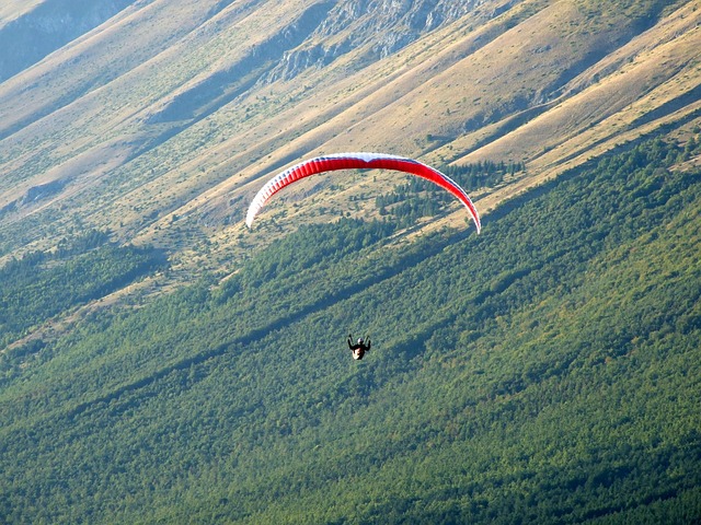 Free Parachute Paragliding photo and picture