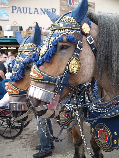 Free Oktoberfest Munich Horse photo and picture