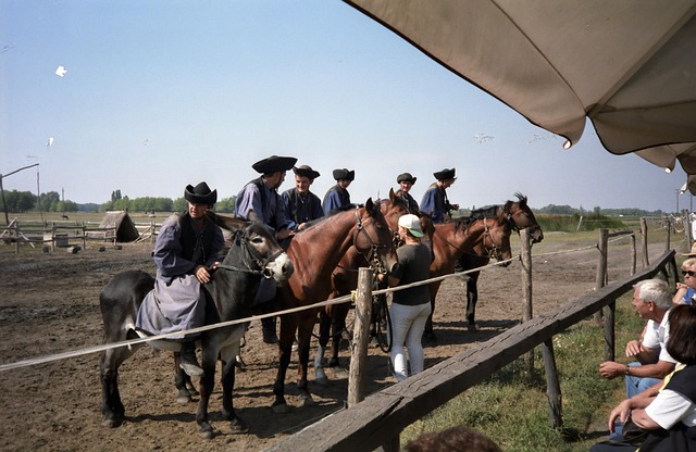 Ungern, Hästar, Puszta, Turism, Hattar