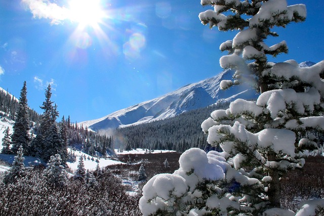 Free Winter Mountains photo and picture