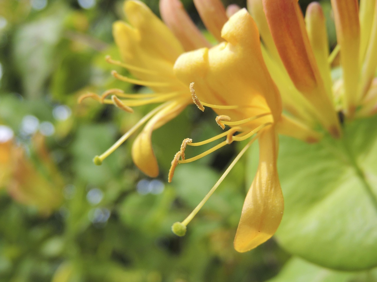 Spring - free online jigsaw puzzle photo
