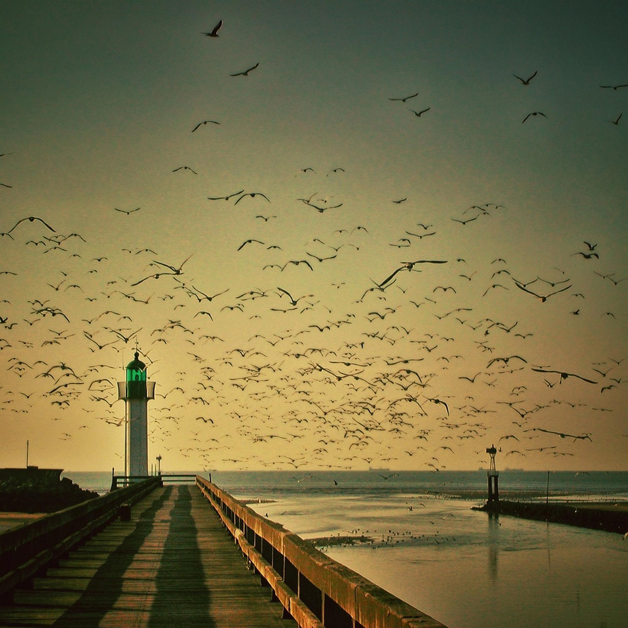 Lighthouse - free online jigsaw puzzle photo