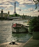 paris, france, eiffel tower