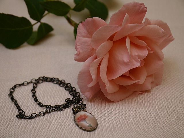 Free Rose Flower photo and picture