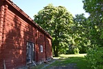 timber cottage, red house, summer