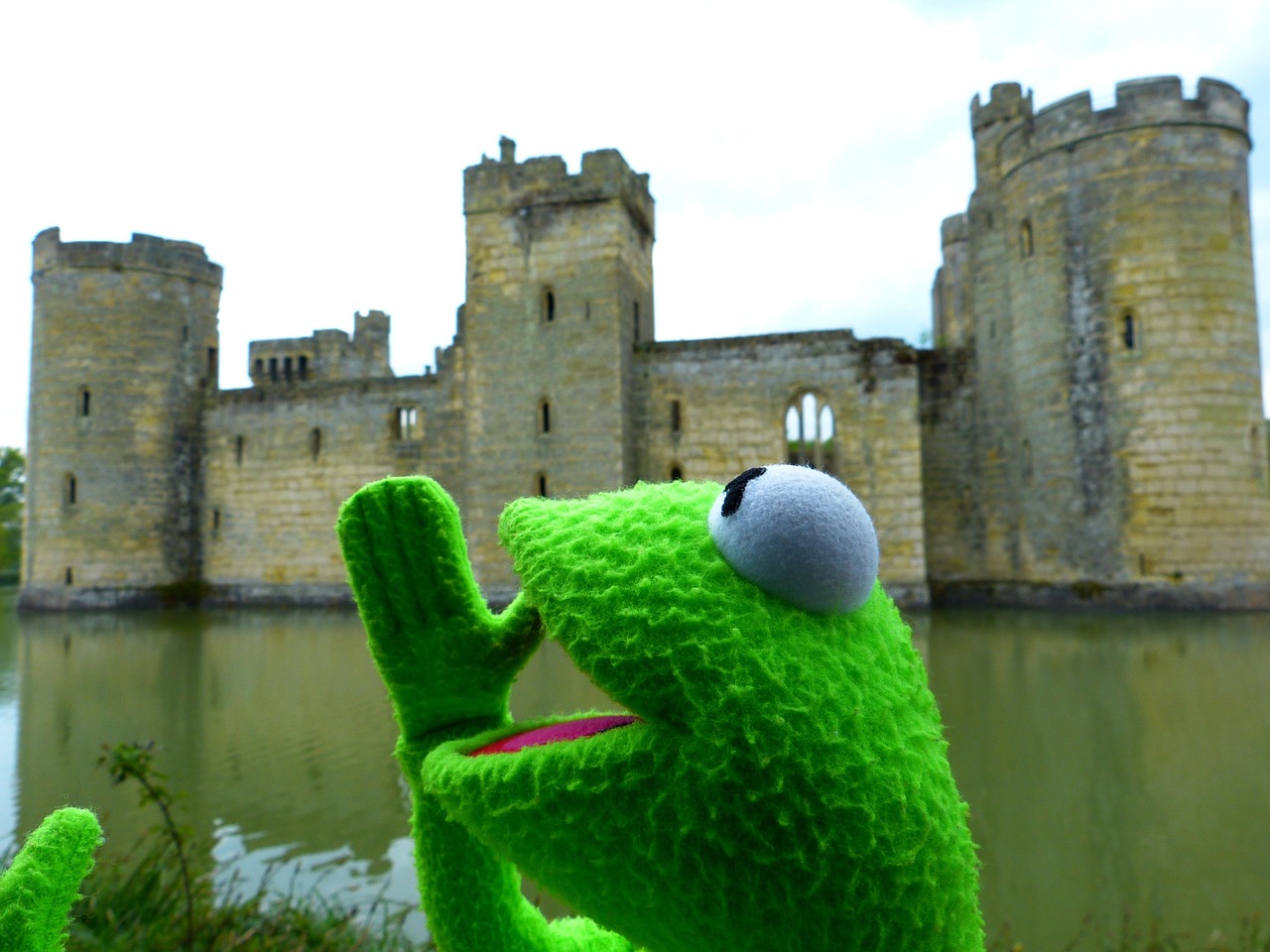 Kermit Frog Fun Free photo on Pixabay Pixabay