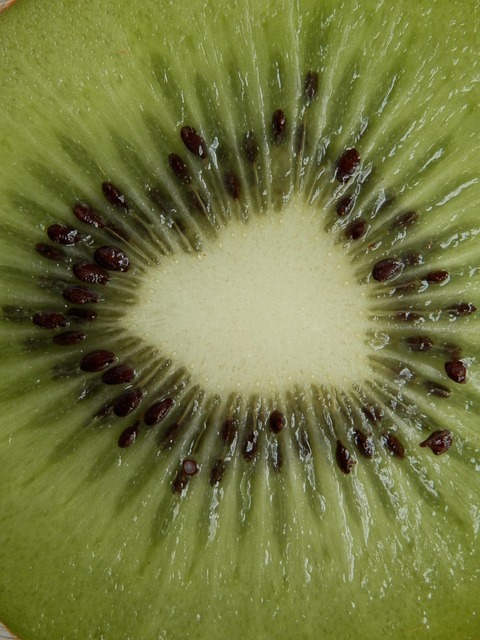 Free Kiwi Fruit photo and picture
