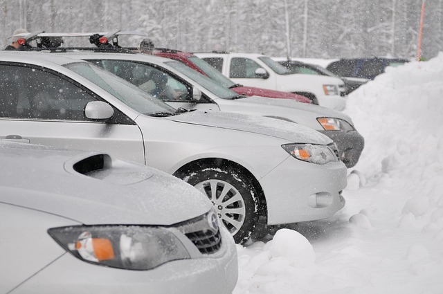 Free Cars Nature photo and picture