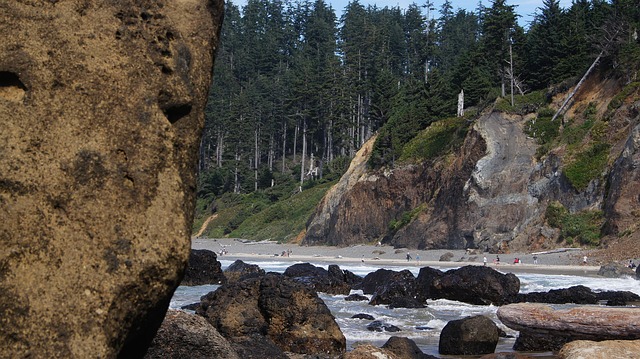 Free Shore Beach photo and picture