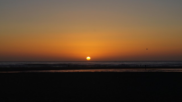 Free Sky Sunset photo and picture