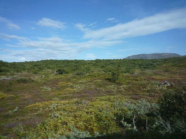 Free Iceland Nature photo and picture
