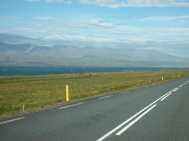 Free Iceland Nature photo and picture