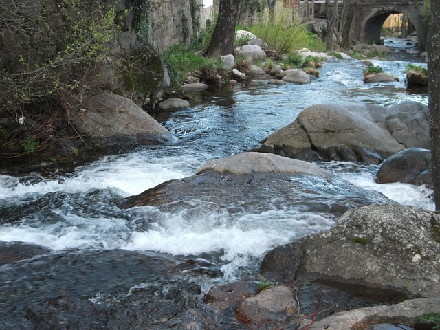 Free River Water photo and picture