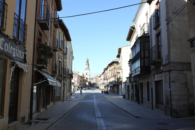 Free Street Houses photo and picture