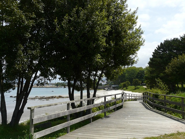 Free Beach Walk photo and picture