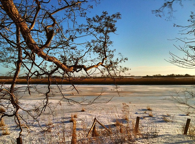 Horisont, Natur, Sne, Ø