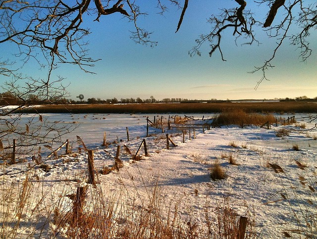 Hav, Natur, Strand, Vinter