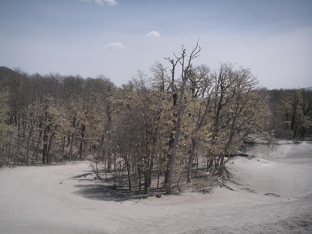 Free Chile Volcanic Ash photo and picture