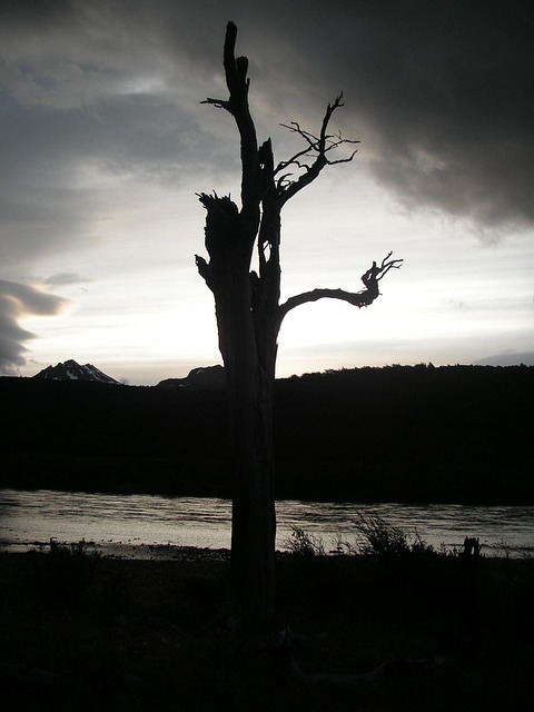 Free Chile Sunset photo and picture