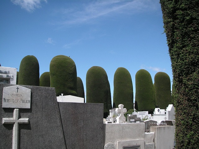 Free Chile Graveyard photo and picture