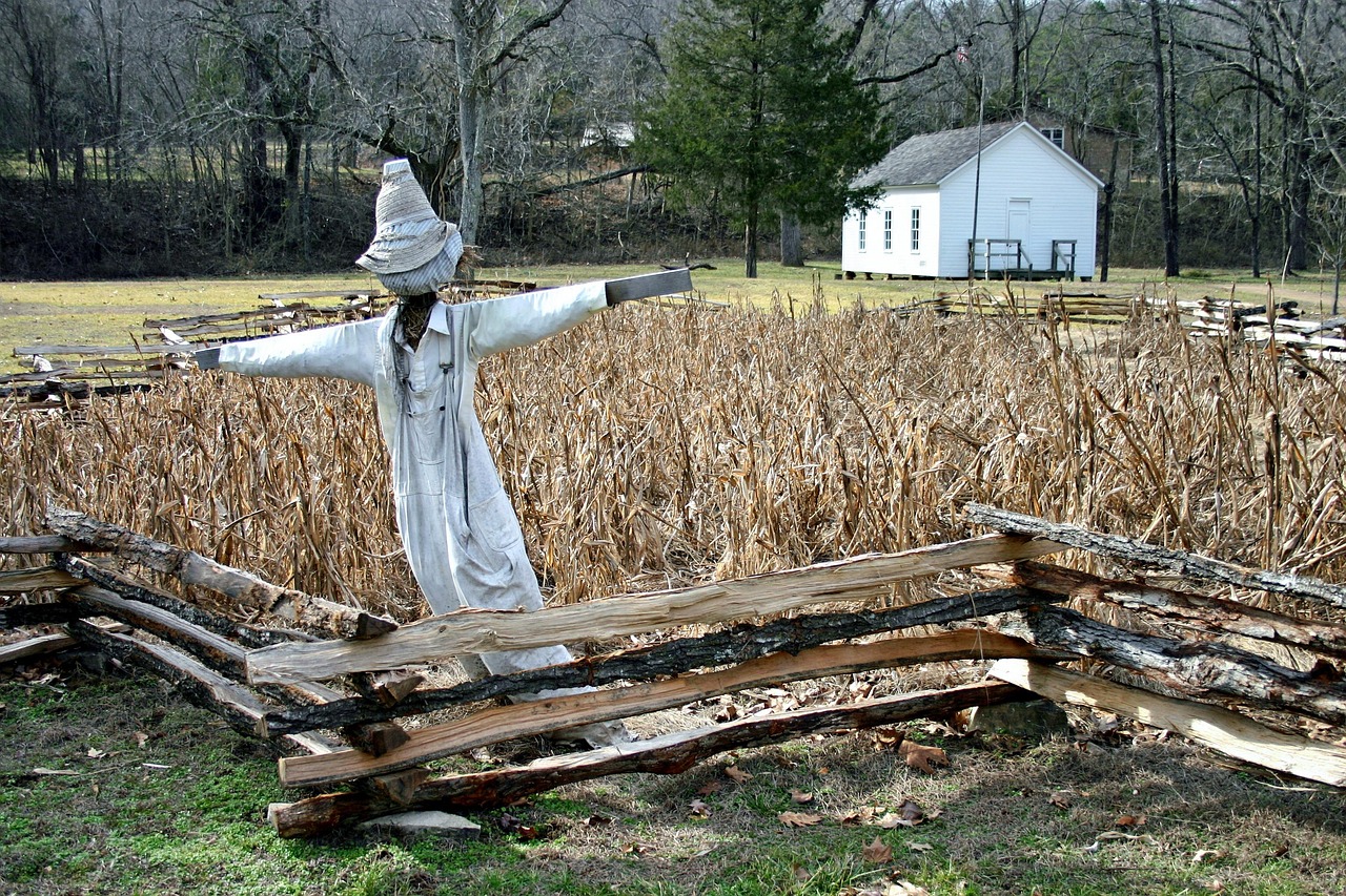 Missouri - free online jigsaw puzzle photo