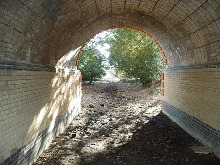 Free Tunnel Woods photo and picture