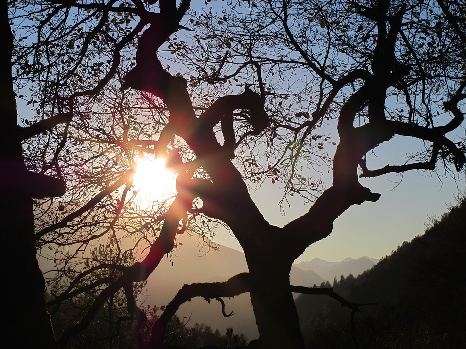 Contrast Backlighting Landscape - Free photo on Pixabay - Pixabay