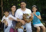 tiger, cub, bangkok